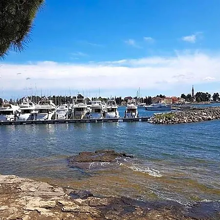 فندق In Istria With Sea View Bubble Bath Novigrad Istria